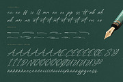 Dignity Justice Modern Script Font, a Script Font by Letterena Studios Script (Thumbnail 14 of 15)