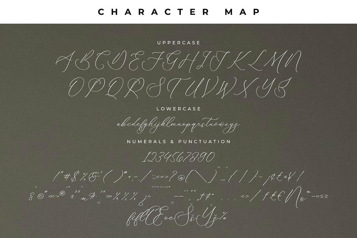 Florens Font Duo, a Serif Font by Storytype Studio (Photo 13 of 15)