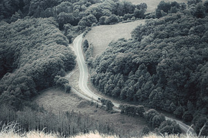 Winding Road In Green Valley, a Nature Photo by SkyNext