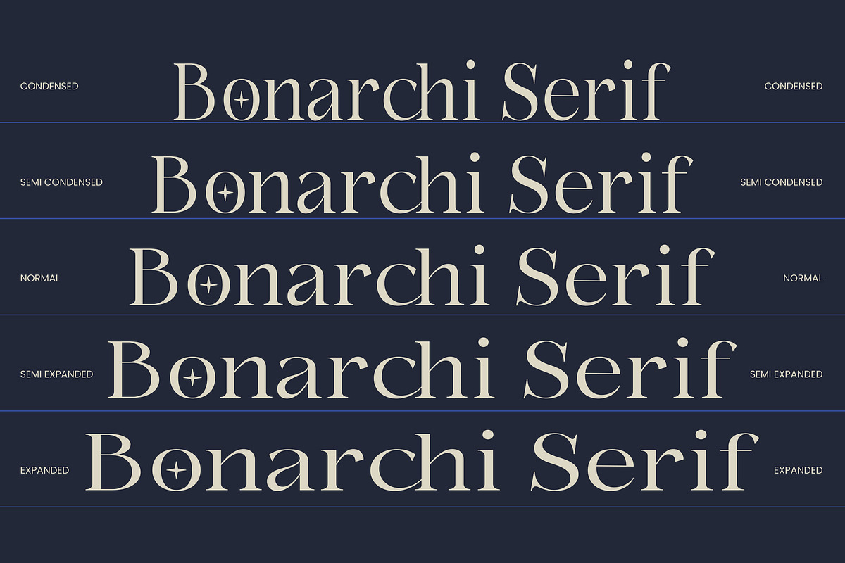 Bonarchi - Family Font, a Serif Font by Rastype (Photo 7 of 10)