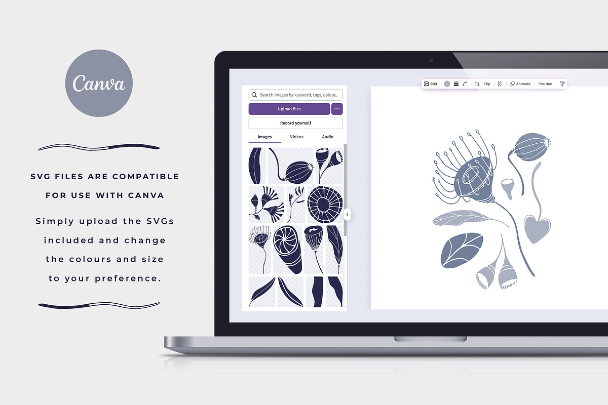 Australian Flora Vector Set, a Decorative Illustration by rouxsupplyco (Photo 2 of 8)