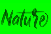 Adventure bundling lettering footage, a Templates & Theme by SSI.Scraps (Thumbnail 6 of 6)