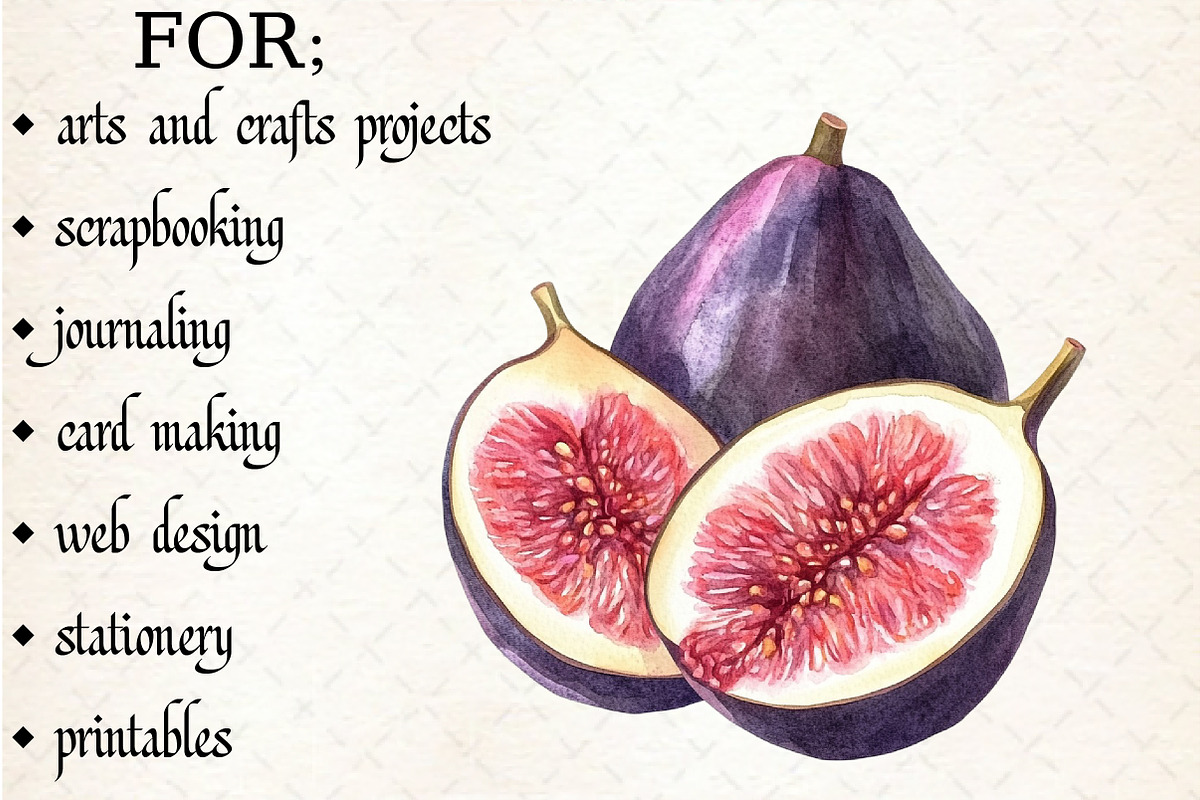 Watercolor Purple Fruit Clipart, an Illustration by Libby Wishes (Photo 4 of 5)