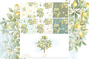 Vintage Lemon Floral Frames bundle, a Decorative Illustration by WonderWonder (Thumbnail 3 of 10)
