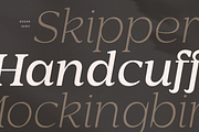 Rosan Serif - Cinematic Serif Font, a Serif Font by Hamz Studio (Thumbnail 15 of 16)