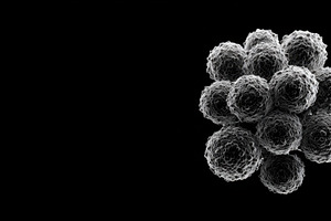 Cells cluster in darkness, a Photo by Beautiful things