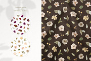 Magic Flowers - watercolor collectio, an Object Graphic by Julia M. Watercolor (Thumbnail 12 of 14)