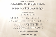 Sunlight | Script Font, a Handwritten Font by Scratchones (Thumbnail 7 of 9)