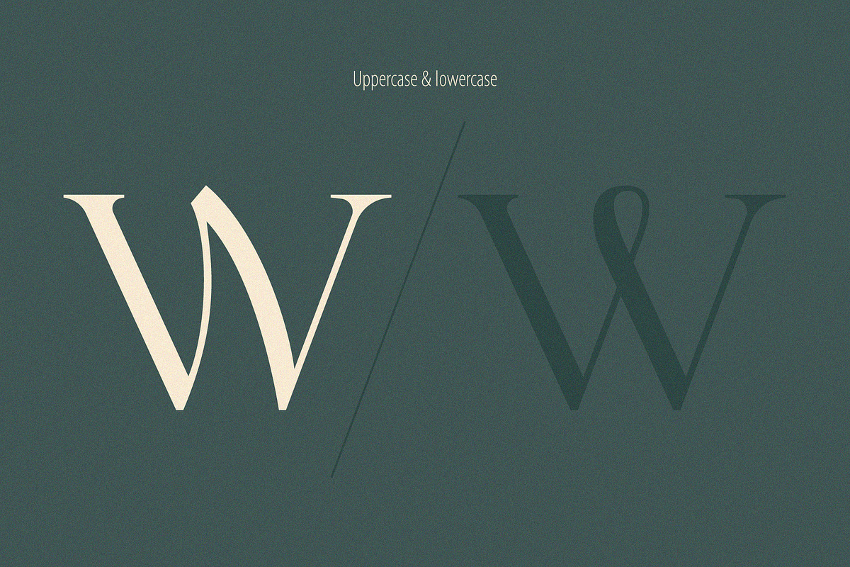 Letterature ligature serif font, a Serif Font by kaer_shop (Photo 12 of 12)