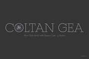Coltan Gea Slab -5 fonts-, a Slab Serif Font by deFharo (Thumbnail 2 of 9)