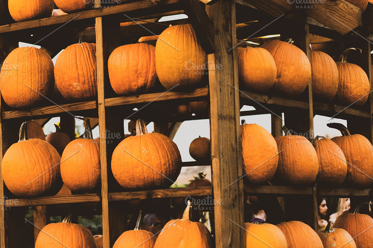 Fall Pumpkin Stock Bundle, a Holiday Photo by r.r.palacios (Photo 3 of 15)