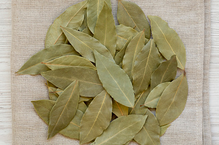 Raw Bay Leaves on a white wooden table, top view. Flat lay, over, a Food & Drink Photo by LiudmylaChuhunova