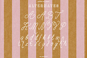 Riviera Du Soleil Font Duo, a Script Font by ana & yvy (Thumbnail 17 of 17)