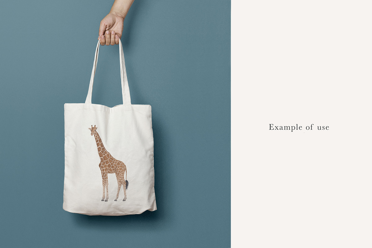 Zebra & Giraffe Illustrations - PNGs, an Animal Illustration by LaurenFittonIllustration (Photo 7 of 9)