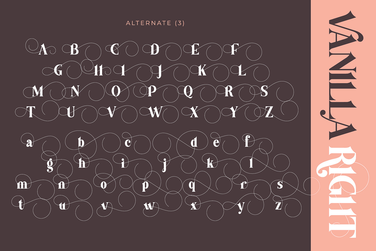 Vanilla Right - Modern Serif Font, a Serif Font by Airotype (Photo 17 of 18)