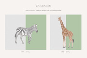 Zebra & Giraffe Illustrations - PNGs, an Animal Illustration by LaurenFittonIllustration (Thumbnail 2 of 9)