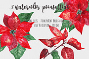 Watercolor Christmas Leaves Set, an Illustration by MaraquelaStudio (Thumbnail 2 of 7)