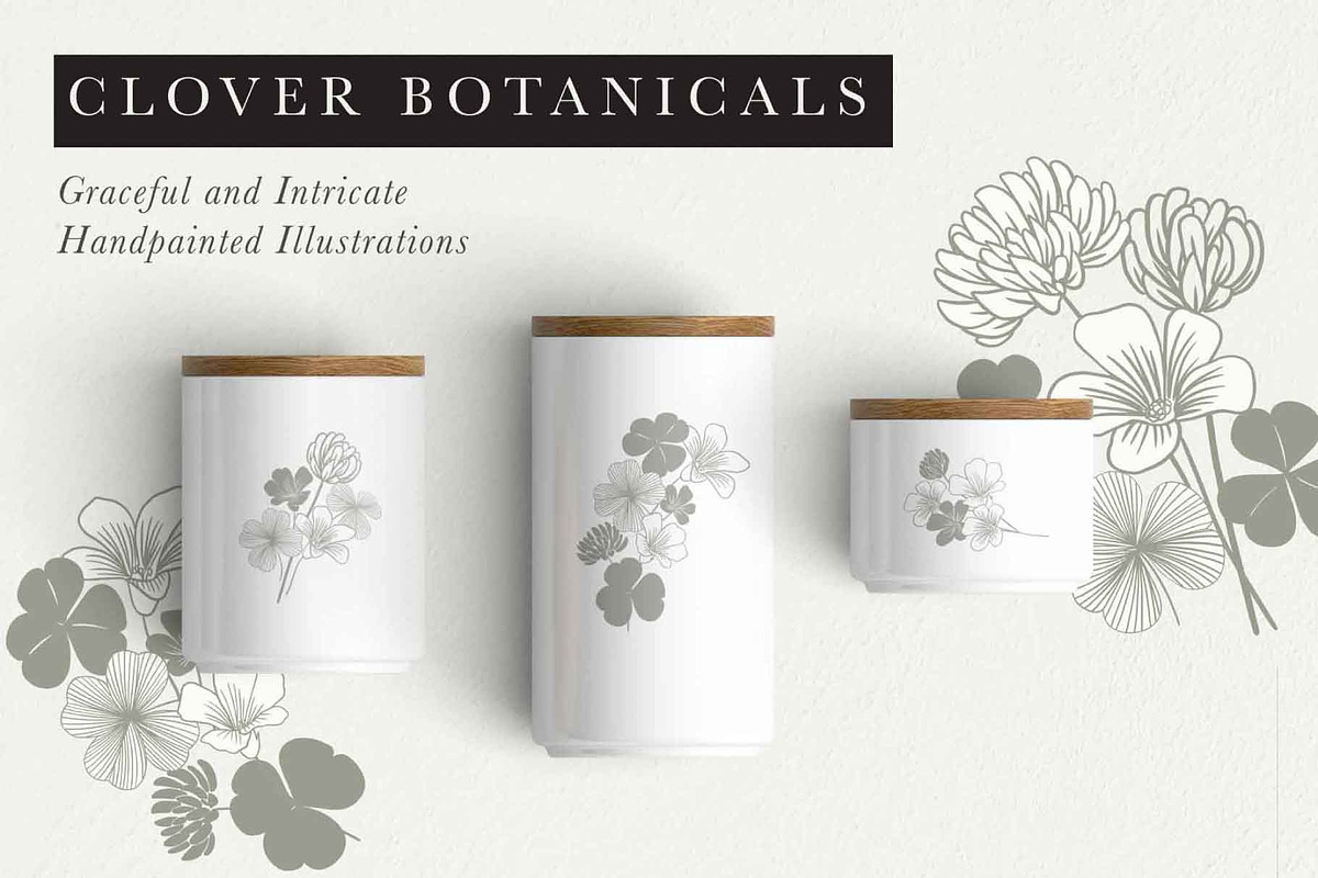 Clover Botanicals - Florals & Leaves, an Illustration by Momo Studio (Photo 2 of 12)