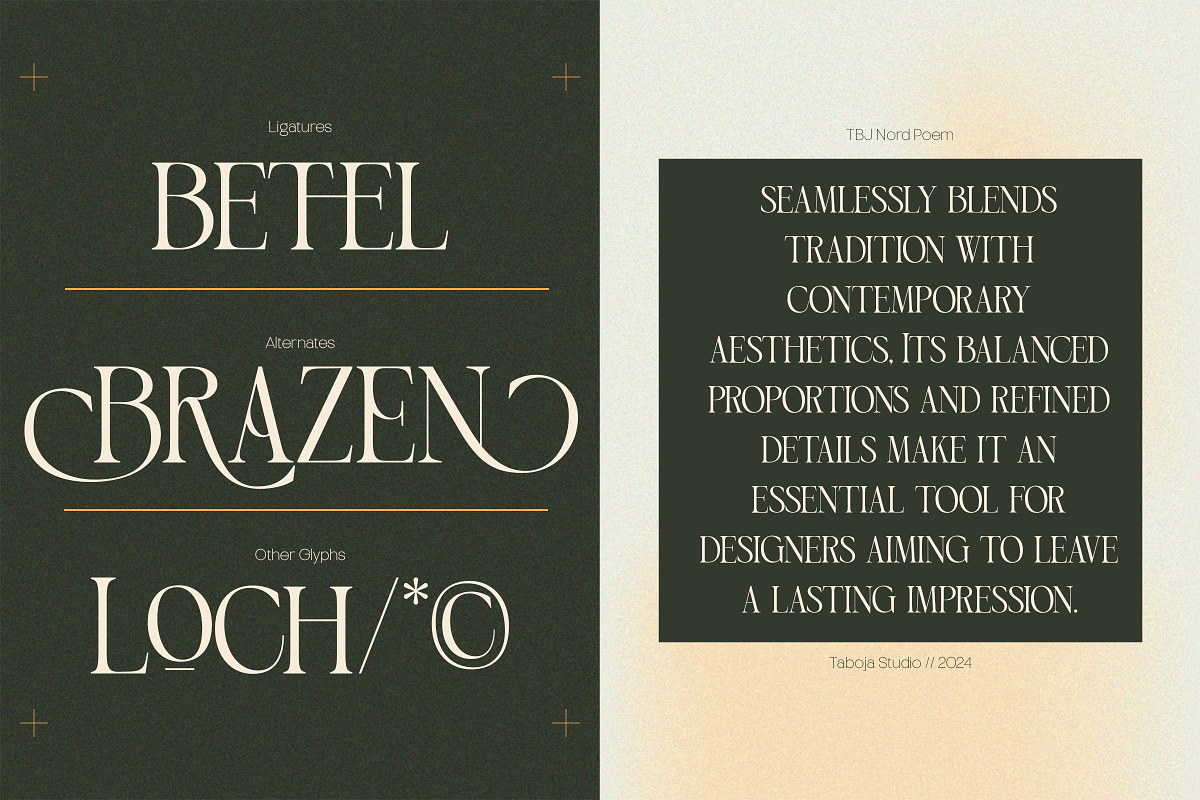 Elegant Condensed Volume 4, a Serif Font by Taboja Studio (Photo 8 of 22)