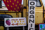 Farmer's Co-op, a Font by Very Cool Studio (Thumbnail 5 of 5)