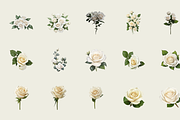 70 Watercolor White Rose PNG Clipart, a Graphic by Graphicspixel (Thumbnail 2 of 11)