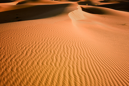Sahara desert in africa stock photo containing desert and sahara, a Nature Photo by FunkyMedia