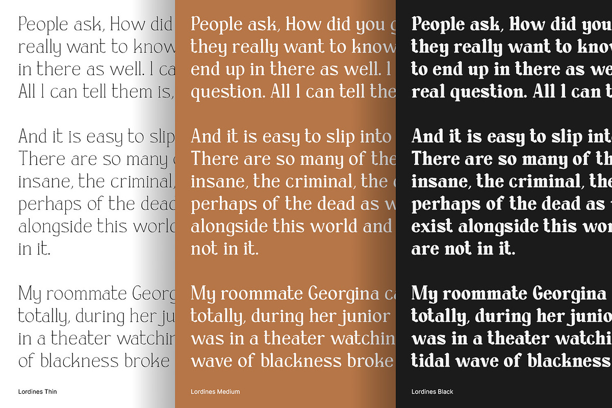 Lordines, a Serif Font by din-studio.com (Photo 9 of 15)