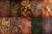 Faded Nature - Textured Backgrounds, a Background Graphic by Lidberia (Thumbnail 8 of 11)