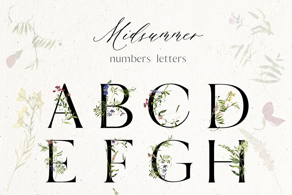 Midsummer - field flowers clipart, a Decorative Illustration by whiteheartdesign (Photo 14 of 16)