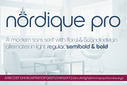 Nordique Pro Regular, a Sans Serif Font by Leksen Design (Thumbnail 2 of 3)