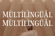 Muleno Slab Serif Font, a Serif Font by Storytype Studio (Thumbnail 12 of 15)