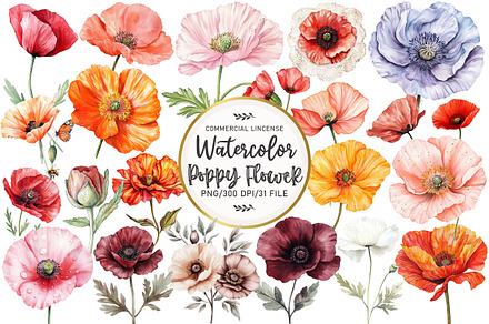 Watercolor Poppy Flower Clipart, an Illustration by OK Design