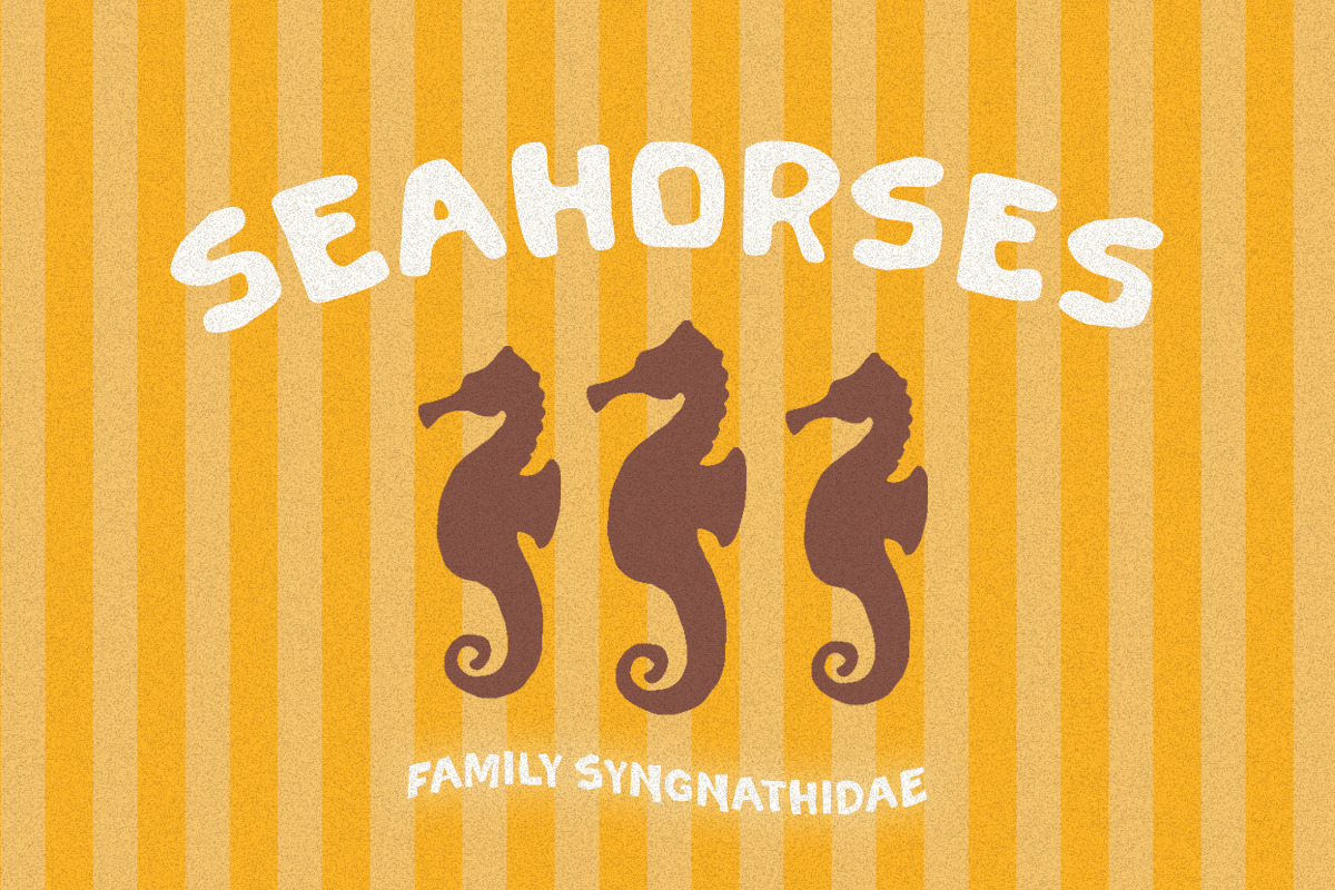 Slober - Handcrafted Bold Sans, a Sans Serif Font by Bale Type (Photo 7 of 9)