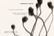 Botanical Traces: Blurred Floral PNG, an Object Graphic by Dina Mae (Thumbnail 2 of 14)
