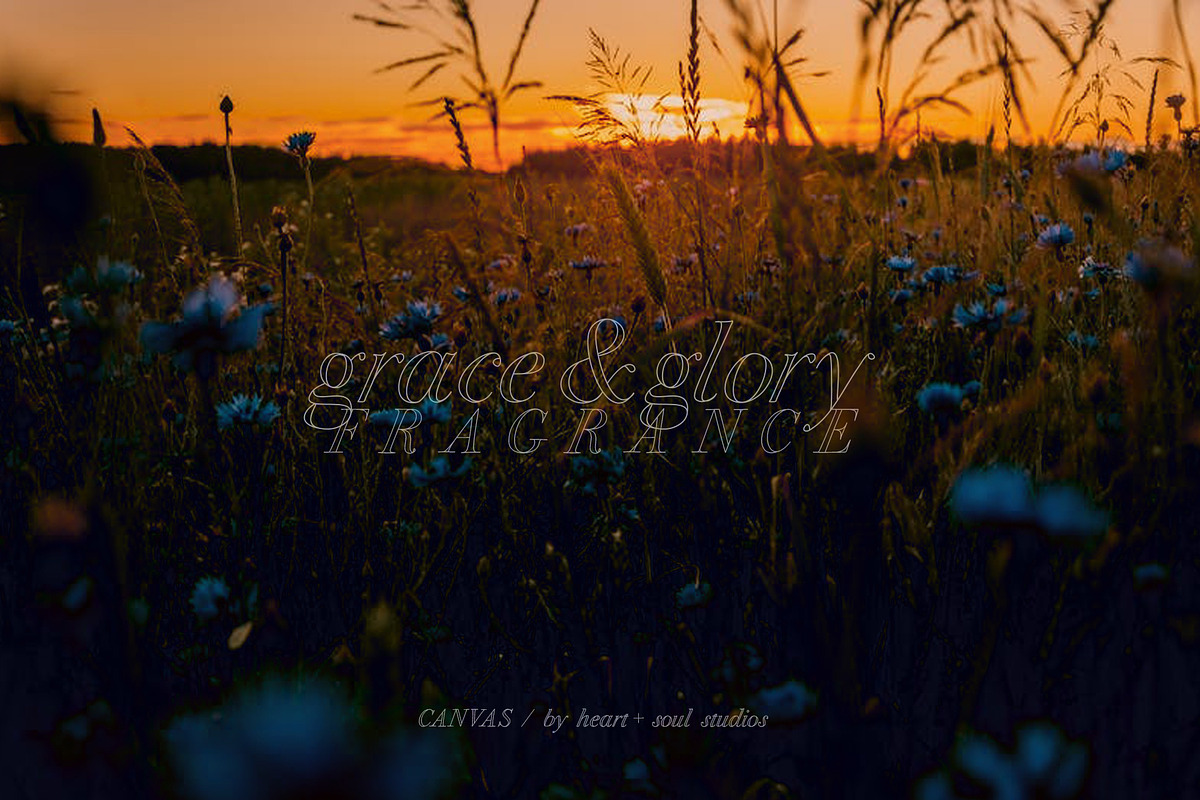 CANVAS | Elegant Serif Font, a Serif Font by Heart + Soul Studios (Photo 6 of 12)
