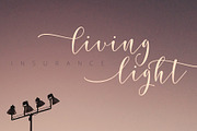 Update! Rosetica Smooth Script, a Script Font by FadeLine Studio (Thumbnail 9 of 9)