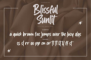 Blissful Sunlit – Quick Brush Font, a Handwritten Font by Gassstype (Thumbnail 7 of 8)