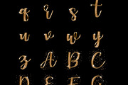 Golden Alphabet, an Illustration by Kandace Lalo Designs (Thumbnail 3 of 5)
