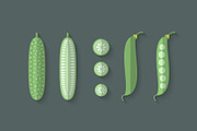 Flat Vegetables Set, an Illustration by Alex Serada (Thumbnail 17 of 17)