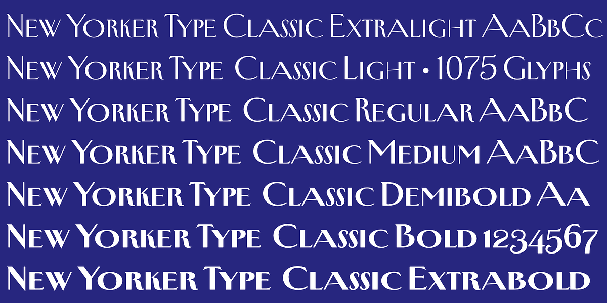 New Yorker Type Classic, a Serif Font by Wiescher-Design
