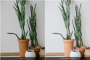 ORGANIC CERAMIC LIGHTROOM PRESETS, a Preset Add-On by Nes Design Co (Thumbnail 7 of 10)