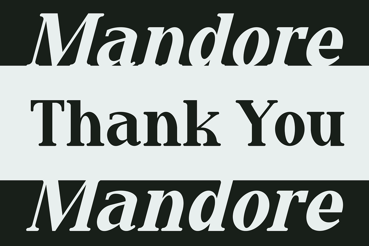 Mandore - A Modern Serif, a Serif Font by Marvadesign (Photo 7 of 7)