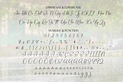 Rainday | Script Font, a Handwritten Font by Scratchones (Thumbnail 7 of 9)