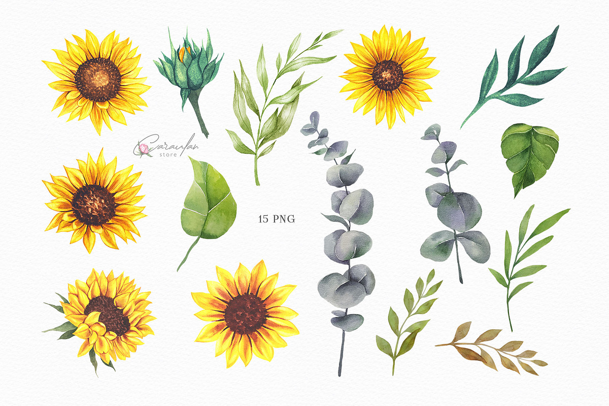 Watercolor Sunflowers Collection, an Illustration by CaraulanStore (Photo 5 of 9)