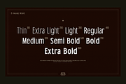 TRT Bird of Feather – Elegant Serif, a Font by truetype (Thumbnail 3 of 15)
