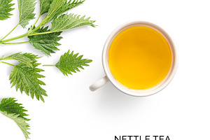 Nettle tea stock photo containing alternative and aromatherapy