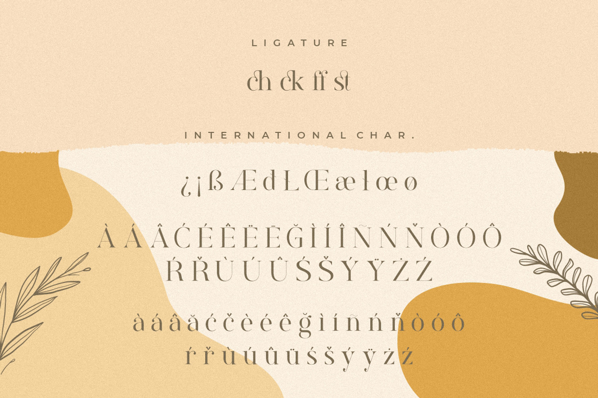 Rostemary Elegant Business Font, a Serif Font by MikroType Std (Photo 11 of 12)