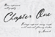 Chapter One Textured Vintage Scrip, a Script Font by AnMark (Thumbnail 1 of 12)