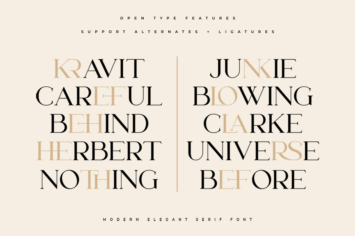 Lanche | Modern Elegant Serif Font, a Serif Font by Pentagonistudio (Photo 6 of 10)