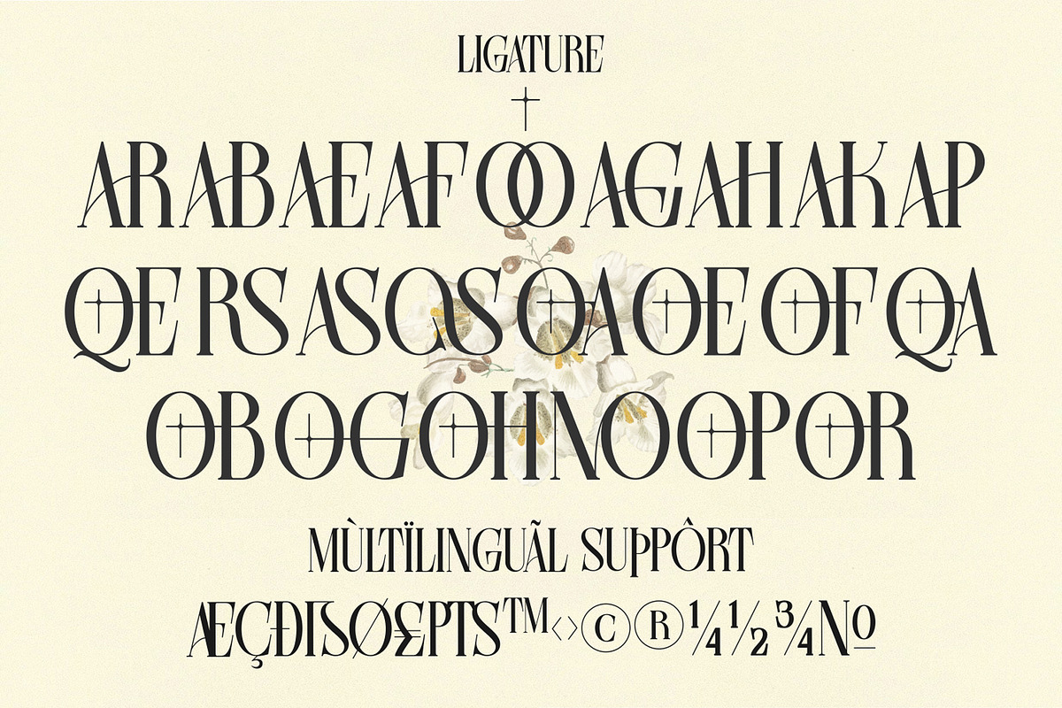 Farqey Denours Serif Font, a Serif Font by Heinzel Std (Photo 4 of 19)